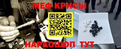 ешки Кингисепп