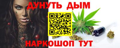 ешки Кингисепп