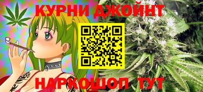 ешки Кингисепп