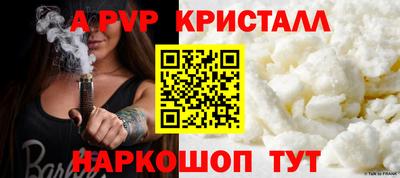 ешки Кингисепп