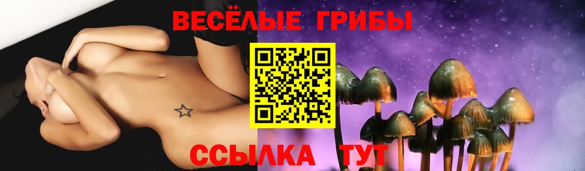 Кстово  Галлюциногенные грибы Psilocybine cubensis  Вход с VPN 